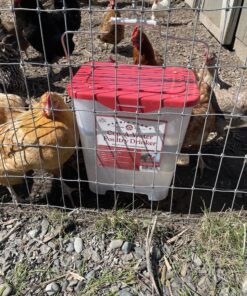 Harris Farms 1000310 Cup-A-Water, 4 Gallon Poultry Drinker, RED 14 C1ai4NZABKS