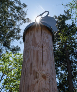 Meike 50mm F1.7 Full Frame Manual Focus Prime Lens Compatible with Z Mount Cameras Z5 Z6 Z7 Z30 Z50 40 C1bUh mBtWS