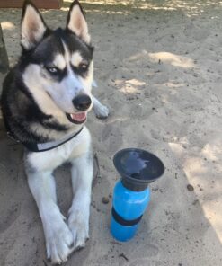 Highwave AutoDogMug Dog Water Bottle BPA-Free Portable Dog Water Bottle | Leak-Proof Portable Dog Water Bottle for Hiking and Traveling | Dish-Washer Safe, 20 oz Blue 27 C1br30URCS