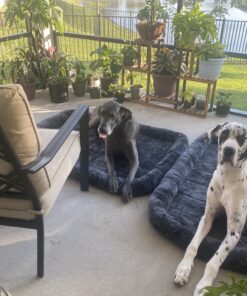 MidWest Homes for Pets 54L-Inch Gray Dog Bed or Cat Bed w/ Comfortable Bolster | Ideal for Giant Dog Breeds (Great Dane / Mastiff) & Fits a 54-Inch Dog Crate Grey 34 C1e9kfVUn8S