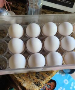 iDesign Plastic Egg Holder for Refrigerator with Handle and Lid, Fridge Storage Organizer for Kitchen, Set of 1, Clear 53 C1eRL9s2acS