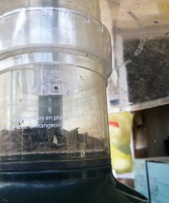 Weather Guard for Squirrel Buster Plus Bird Feeder (FEEDER NOT INCLUDED) 13" Diameter 31 C1fT7Fr6S