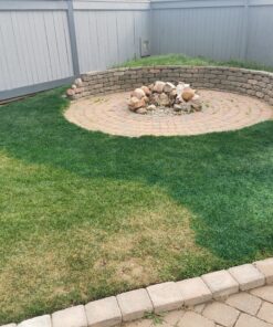 LawnLift 64 ounce Grass Paint factory 2nd with cosmetic blemishes on bottle, seal and label. May include dried paint or other unsightly blemishes on exterior of bottle. 44 C1faHuAjAkS