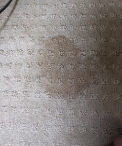 BISSELL Professional Power Shot Oxy Carpet Spot and Stain Remover, 14 ounces, 95C9 42 C1gm4e6uSJS