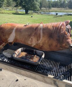 Pork Barrel BBQ All American Seasoning & Rub Catering, 623g 49 C1hM1tAjnES