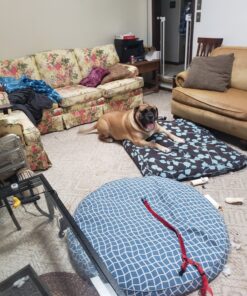 Molly Mutt Huge Dog Bed Cover - Your Hand in Mine Print - Measures 36”x45”x5’’ - 100% Cotton - Durable - Breathable - Sustainable - Machine Washable Dog Bed Cover 29 C1hwnBqtPLS