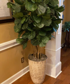 Nearly Natural 6ft Fiddle Leaf Fig Artificial Trees, 72in, Green 72 in 52 C1iipC1oGUS