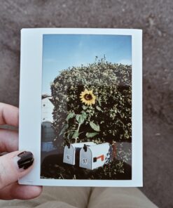 instax Wide Film Twin Pack (White) 40 C1jrDzf1MyS