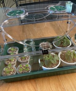 EarlyGrow 93763 Medium Seed and Herb Domed Propagator with Vented Side Height Extension, Extender, Green Medium with Side Extender 63 C1kIQvG6gXS