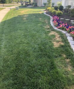 Lawnlift Ultra Concentrated (Green) Grass Paint 16oz. = 1.375 Gallons of Product. 48 C1l1LFCv3DS