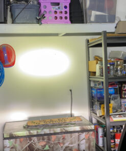 Rigidhorse 32 Inch LED Light Bar Single Row Flood & Spot Beam Combo 30000LM Off Road Driving Light for Pickup SUV ATV UTV Truck Roof Bumper 55 C1lzEg3nYVS