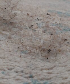 FURemover Original Indoor Pet Hair Rubber Broom and Pet Hair Remover Lint Brush Set, Colors May Vary FURemover Broom and Brush Combo 50 C1n1gmK GES