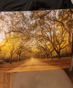 MasterPieces - Jigsaw Puzzle Glue & Wide Plastic Spreader, 5oz - 2 Pack - Clear 44 C1nYDqLptWS