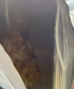 Triple Strength Omega 3 Fish Oil Supplements 4200mg Per Serving, 240 Softgels – Lemon Flavored – Burpless (Enteric-Coated) | EPA 1200mg + DHA 900mg | Deep Sea Fish, Wild Caught from Norwegian Waters 240 Count (Pack of 1) 29 C1nyCmI2S2S