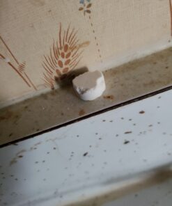 Harris Roach Tablets, Boric Acid Roach Killer with Lure for Insects (4oz, 96 Tablets) 4 oz 45 C1o9K369BnS