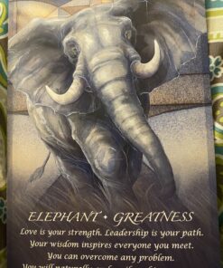 Spirit of the Animals Oracle 66 C1oWvLhjpJS