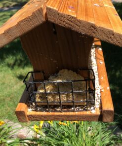 Heath Outdoor Products DD4-12 Heath Bird Suet, Yellow, 11.25 Ounce (Pack of 12) 11.00 Ounce (Pack of 12) 43 C1pMesE5tnS