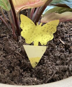 Graco FastAction Fold Jogger Travel System | Includes the FastAction Fold Jogging Stroller and SnugRide 35 Infant Car Seat, Gotham 67 C1qXX3pz2PS