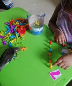 Learning Resources All About Me Family Counters, Set of 72, Ages 3+, SEL, Sensory Skills,Color Recognition 43 C1t38TBRAJS