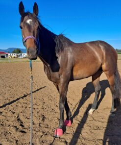 Alternative view of Basic PVC Ribbed Bell Boots Hot Pink