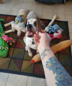 Jerky Treats Tender Beef Strips Dog Snacks 3.75 Pound (Pack of 1) 17 C1t8zHpPK9S