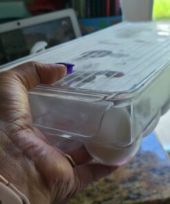 iDesign Plastic Egg Holder for Refrigerator with Handle and Lid, Fridge Storage Organizer for Kitchen, Set of 1, Clear 54 C1ueTg1MwNS