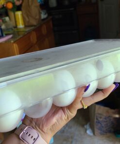 iDesign Plastic Egg Holder for Refrigerator with Handle and Lid, Fridge Storage Organizer for Kitchen, Set of 1, Clear 55 C1uk50x2JxS