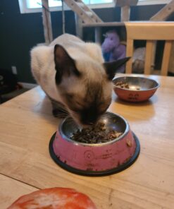 Purina Cat Chow Naturals With Added Vitamins, Minerals and Nutrients Dry Cat Food, Naturals Original - 13 lb. Bag Chicken & Salmon 13.00 Pound (Pack of 1) 39 C1vKtxsxNnS