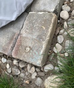 Glow in The Dark Pigment Powder - Neutral and Fluorescent color for Art Painting, Fine Art, Nail Art Paint, and DIY Crafts - Non-Toxic, Long Lasting 10+ Color Options - Neutral Aqua - (12 Grams) 12 Grams 43 C1vVokVOacS