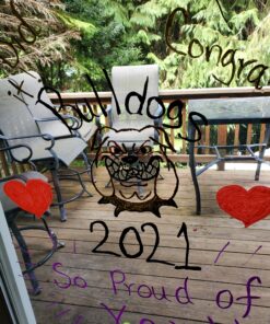 Blami Arts Liquid Chalk Markers Washable -14 Ink Pens & Extra Gold and Silver Colors - Chalkboard Labels Pack Included Non Toxic - Reversible Tips and Erasing Sponge included 14-pack multi-colors 33 C1voITCKU5S 1