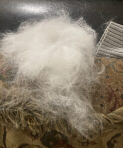 Thunderpaws Best Professional De-Shedding Tool and Pet Grooming Brush, D-Shedz for Breeds of Dogs, Cats with Short or Long Hair, Small, Medium and Large (Yellow) Yellow 36 C1w8rUbj1cS