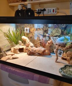 Exo Terra Reptile Fountain,Brown 9 C1wLxJlIx8S