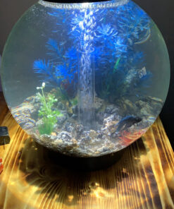 biOrb CLASSIC 15 Aquarium with LED - 4 gallon, Black 25 C1wjQUuFWGS