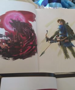 The Legend of Zelda: Breath of the Wild--Creating a Champion 59 C1wkiignFS