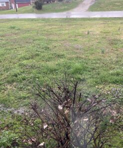 Ortho Weed B Gon Chickweed, Clover & Oxalis Killer for Lawns, 32 Oz. Ready to Spray 26 C1wwayuvSyS