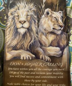 Spirit of the Animals Oracle 68 C1xQiJ8ZnFS