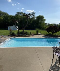 Natural Chemistry 07400 Stain Free Pool Stain Remover, 1-3/4 Pounds 45 C1xVx0AqyDS