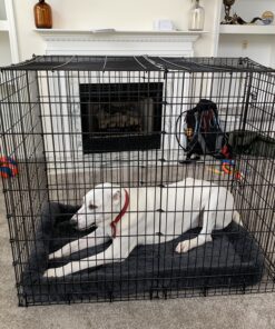 MidWest Homes for Pets 54L-Inch Gray Dog Bed or Cat Bed w/ Comfortable Bolster | Ideal for Giant Dog Breeds (Great Dane / Mastiff) & Fits a 54-Inch Dog Crate Grey 29 C1xgsN epiS