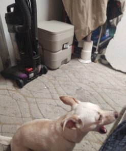 Camco 5.3-Gallon Portable Travel Toilet | Features Detachable Holding Tank w/Sealing Slide Valve & Bellow-Type Flush | Easy Transport w/Compact Lightweight Design & Carry Handle | Gray (41541) 5.3 Gallon 49 C1y9U8sJPYS