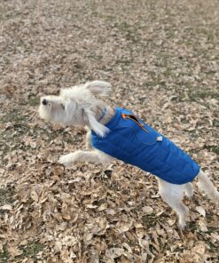 Kurgo Loft Dog Jacket, Reversible Dog Coat, Wear with Harness or Sweater, Water Resistant, Reflective, Winter Coat For Medium Dogs (Coastal Blue, M) Coastal Blue/Orange 50 C1zaPtubrpS