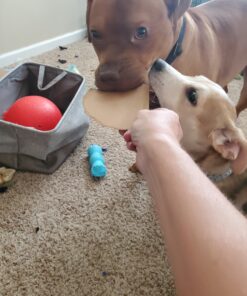 EBPP Stop the Chew 3X Strength Anti Chew Spray for Dogs - No Chew Spray for Puppies - Alcohol Free Dog Deterrent Spray - Bitter Spray for Dogs to Stop Chewing - Powerful No Chew Spray for Dogs - 8oz 53 C1zcHdQV6S