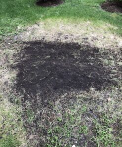 BLACK+DECKER 20V MAX* Tiller (LGC120) 20V Cultivator/Tiller Kit 41 D1 wSdjftS