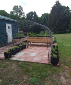 Ming Wei Garden Plant Bags / 6-Packs 5 Gallon Grow Bags/Aeration Fabric Pots/Handles (Black) Black 30 D16hriuaNoS