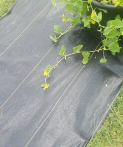 6 Inch Galvanized Landscape Staples Made in USA - 100 Metal Garden Stakes for Gardening - 11 Gauge Anti-Rust Heavy-Duty Ground Sod Pins Yard Stakes for Weed Barrier Fabric Irrigation Tubing Hose 34 D1DX588Gq3S