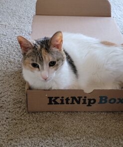 Purina Fancy Feast Pate Wet Kitten - (24) 3 oz. Cans 32 D1EjW99yoSS