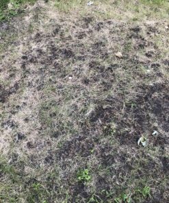 BLACK+DECKER 20V MAX* Tiller (LGC120) 20V Cultivator/Tiller Kit 42 D1F qMBKIpS