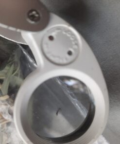 Green Lacewing Eggs - 10,000 Live Eggs Packed in Rice Hulls 26 D1NXCVUkNpS