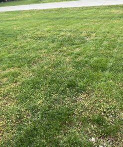 Ortho Weed B Gon Chickweed, Clover & Oxalis Killer for Lawns, 32 Oz. Ready to Spray 27 D1OAhvxxS