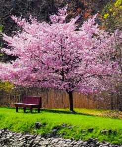 OM SYSTEM OLYMPUS M.Zuiko Digital 40-150mm F4.0-5.6 R Black For Micro Four Thirds System Camera, 3.75x Zoom Lens, Portable Design Standard Packaging 99 E1VJlATxSvS