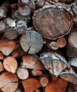 Nikon NIKKOR Z 24-70mm f/2.8 S | Professional large aperture mid-range zoom lens for Z series mirrorless cameras | Nikon USA Model Single 44 E1z7YypnygS